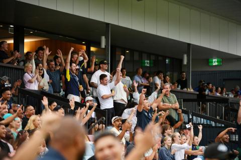 rugby crowd