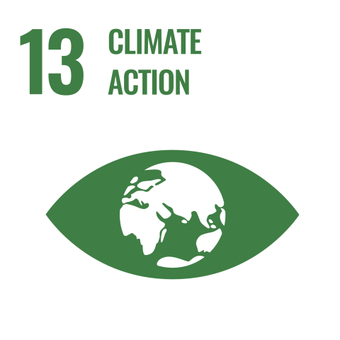 SDG13