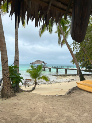 Blue water and palm trees